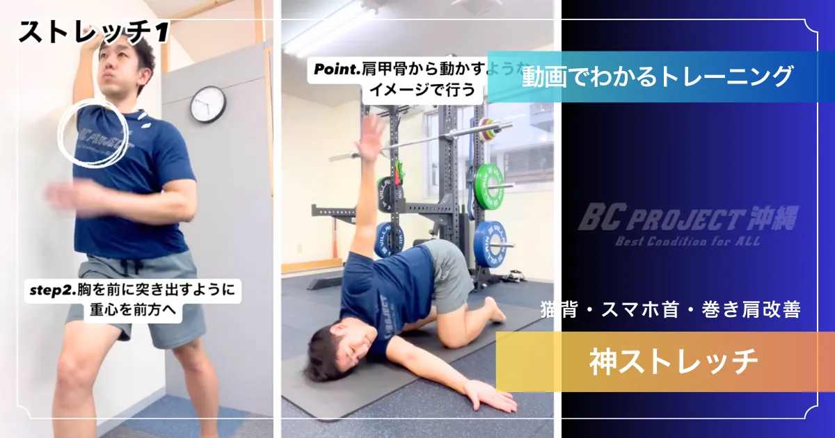 【脱・猫背】1日たった3分！スマホ首・巻き肩をリセットする「神ストレッチ」