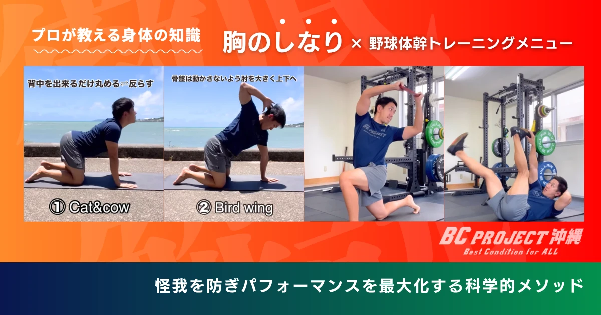 将来の伸び代を最大化！スポーツ科学修士が教える中学生のための「胸のしなり」×野球体幹トレーニングメニュー