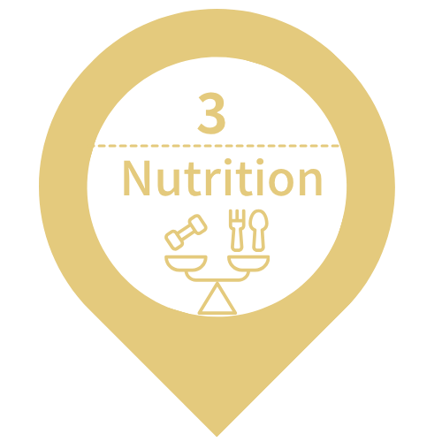 - Nutrition -