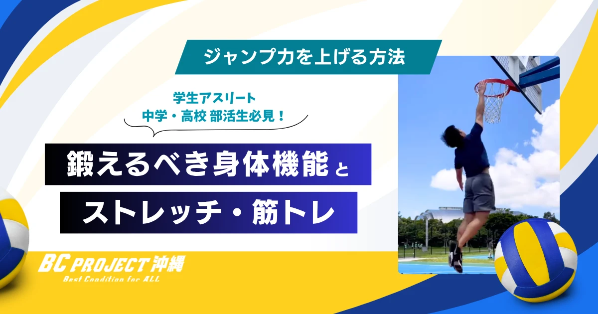 バレーボールのアタッカー必見！ジャンプ力を上げる方法｜鍛えるべき身体機能とストレッチ・筋トレ