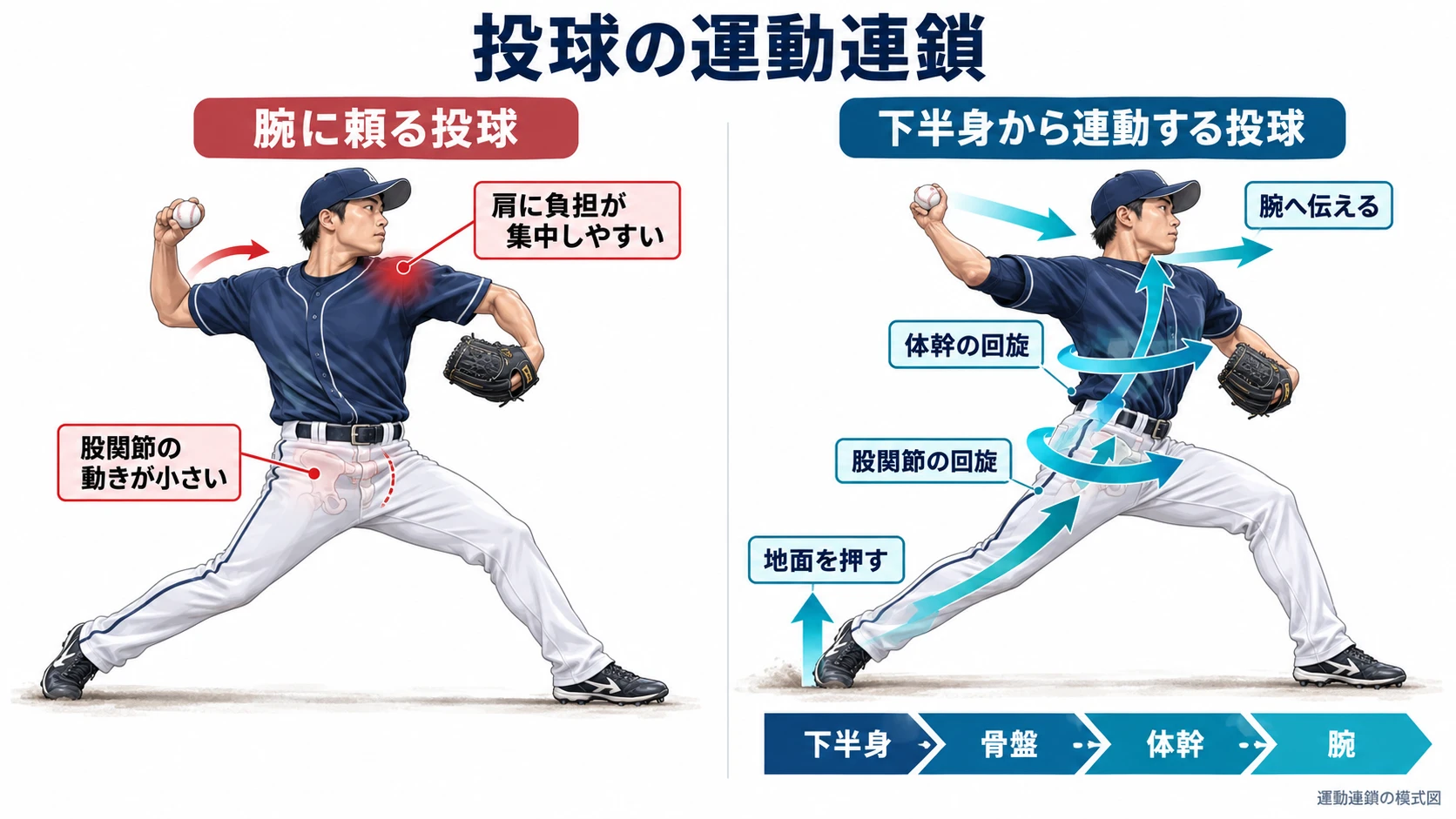 投球や打撃における下半身（軸脚の地面の押し出し〜踏み込み脚の股関節でのブレーキ）から上半身への力の伝達イメージ